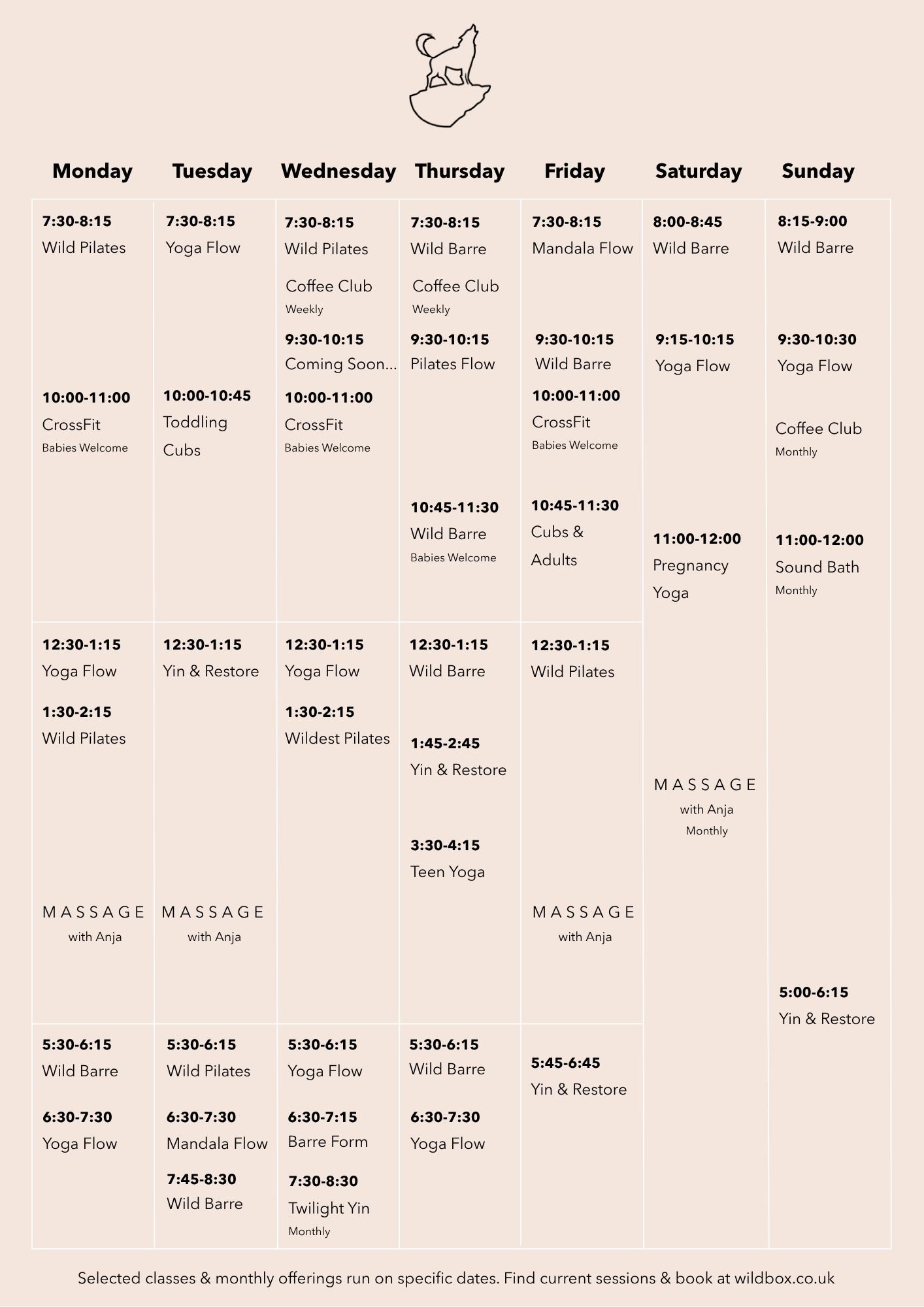 Classes at The Wild Box